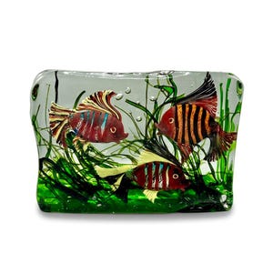 May include: A rectangular glass paperweight featuring three colorful fish swimming among green aquatic plants. The fish have red, orange, and yellow stripes and fins. Bubbles are also visible within the glass.