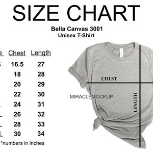 Bella Canvas 3001 Size Chart Mock up Tshirt, Unisex Size Chart, XS-4XL, Flat Lay Grey Mockup Bella Canvas Sizing Mock up Tee Size Chart ns2