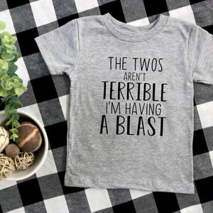 May include: Gray short-sleeved t-shirt with black text that reads "The Twos Aren't Terrible I'm Having A Blast".