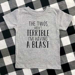May include: Gray short-sleeved t-shirt with black text that reads "The Twos Aren't Terrible I'm Having A Blast".
