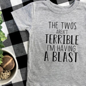 May include: A gray short-sleeved t-shirt with black text that reads "The Twos Aren't Terrible I'm Having A Blast".