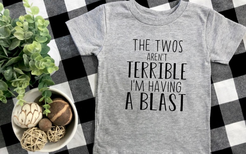 May include: A gray short-sleeved t-shirt with black text that reads "The Twos Aren't Terrible I'm Having A Blast".