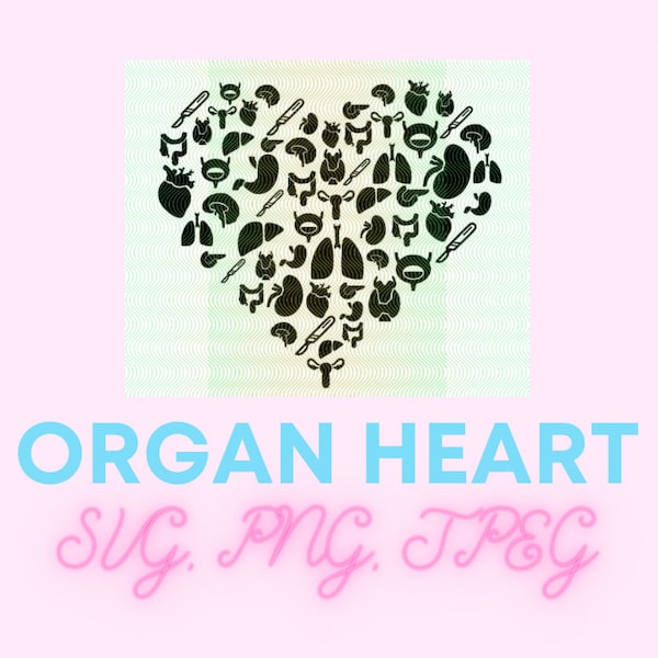 Organ Heart Anatomy Medical Nursing Surgical Pathology SVG PNG JEPG File