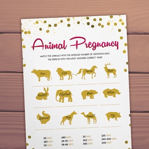 Animal Gestation Game, Animal Pregnancy Game Days, Printable Baby Games ...