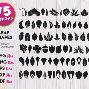 Puede incluir: Un conjunto de 75 formas de hojas negras, perfectas para proyectos de artesanía y diseño. La imagen muestra una variedad de formas de hojas, incluyendo diseños simples y complejos. El texto "75 Designs" y "Leaf Shapes" es visible en la parte superior de la imagen.