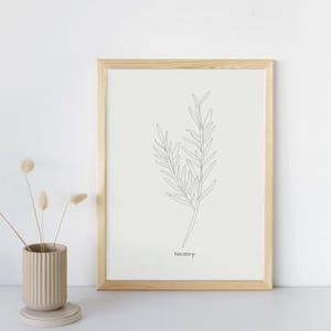 Thyme Herb Plant Print-Instant Download