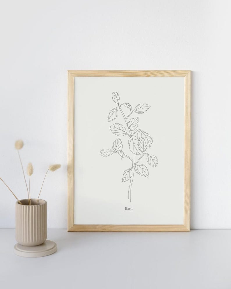 Basil Herb Plant Print-instant Download - Etsy