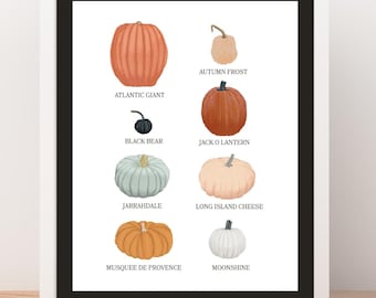Tipos de calabazas para imprimir - DESCARGA INSTANTÁNEA