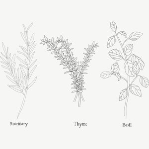 Herb Plants Print-Instant Download