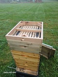 Bee Hive Premium Candy Board, Langstroth Hive Feeder, 10/8/5/Custom Frame