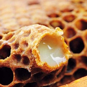 May include: Close-up of a honeycomb with a light-colored substance filling a cell. The honeycomb is a warm brown color with many hexagonal cells. The substance appears to be a creamy, viscous liquid.