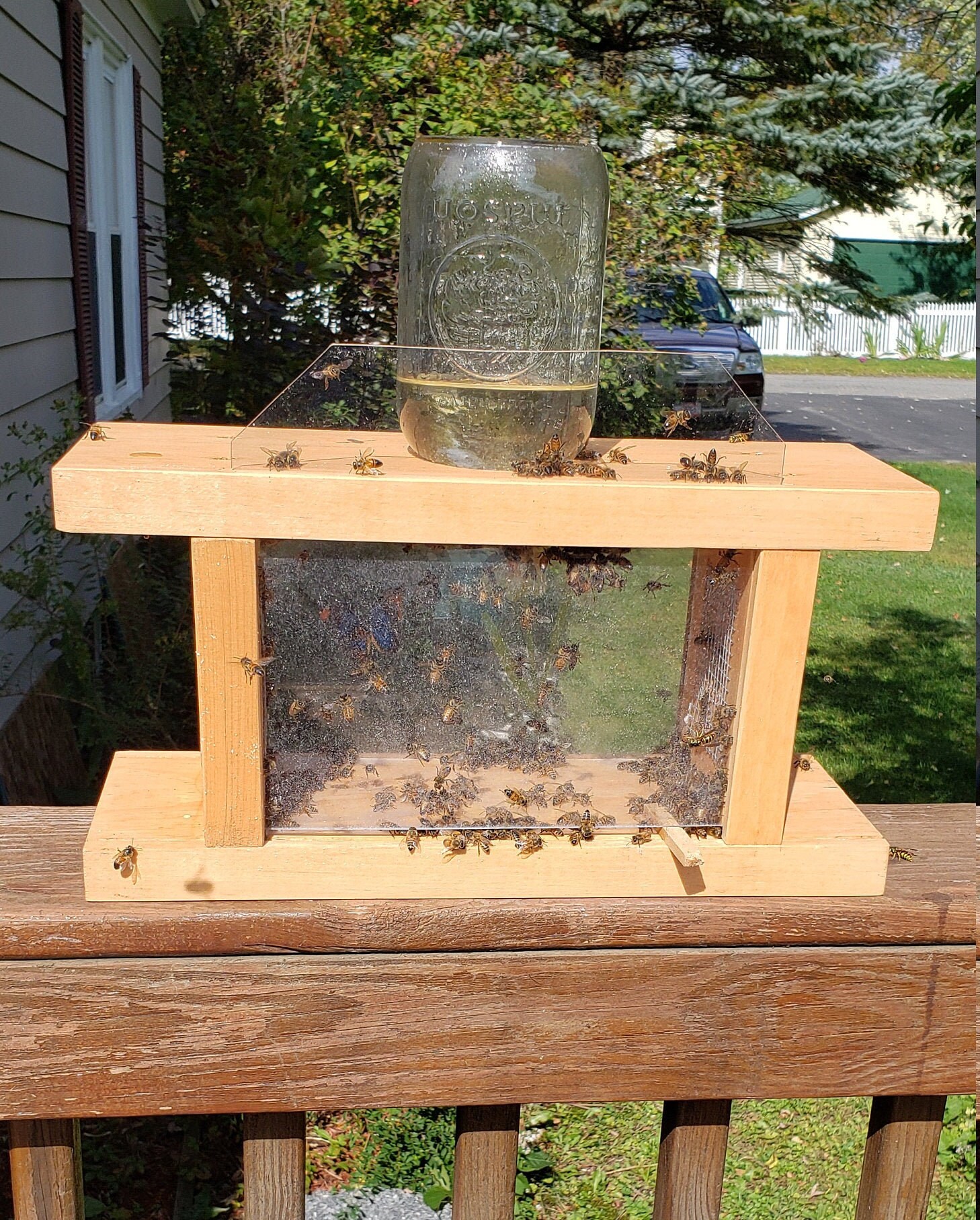 This Honey Bee Feeder is a Way to Help Our Honey Bee Pollinators