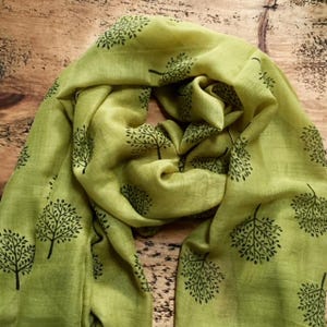 Soft Mulberry Tree Scarf - Pistachio & Navy