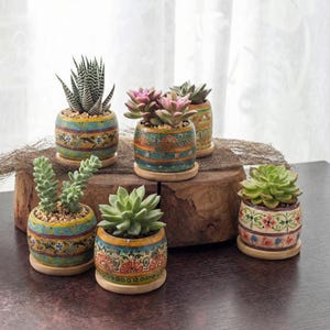 May include: Five small, round, hand-painted ceramic planters with wooden saucers, each containing a different succulent plant. The pots feature colorful, intricate floral and geometric patterns in shades of blue, yellow, green, and red.