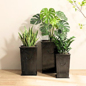 May include: Three tall, rectangular black metal planters with a weathered finish, each featuring a small curved handle on the front. The planters hold a snake plant, a large-leafed monstera plant, and a zamioculcas plant with green foliage.