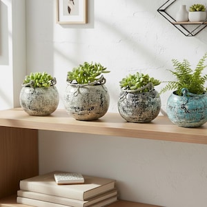 May include: Four round metal planters with distressed finishes, each containing a green plant. Three planters feature a weathered white and grey texture, while the fourth is a vibrant turquoise. Each pot has a small handle on each side.