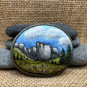 Granite Mountains with Colorful Flowers in an Alpine Meadow