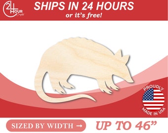 Set Di Illustrazioni Vettoriali Di Un Armadillo Cartone Animato In - Foto 7