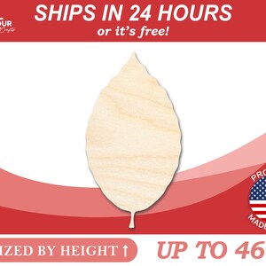 Unfinished Wooden Beech Leaf Shape  - Craft - from 1&quot; up to 46&quot;  DIY