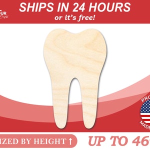 Unfinished Wooden Tooth Shape - Tooth Fairy - Dentist - Craft - from 1" up to 46"  DIY