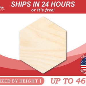 Unfinished Wooden Hexagon Shape - Craft - from 1&quot; up to 46&quot;  DIY
