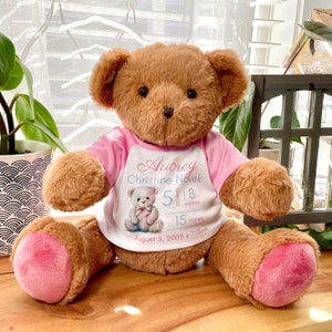 Newborn Gift, Birth Stats Plush, Custom Weighted Bear with Birth Stats, Personalized Birth Announcement Keepsake, Birth Weight Bear