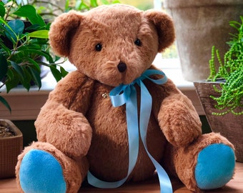 Recordable Teddy Bear, Plush Stuffed Animal, Voice Recording Gift, up to 30 second record time