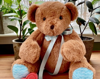 Recordable Teddy Bear with Ocean Paws, 30 second voice recorder, Custom Bear with recorder, Personal Recordable plush, Custom Teddy Bear