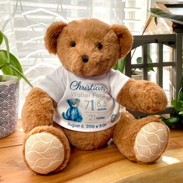 Custom Weighted Bear with Birth Stats, Personalized Birth Announcement Keepsake, Birth Weight Bear, Newborn Gift, Birth Stats Plush