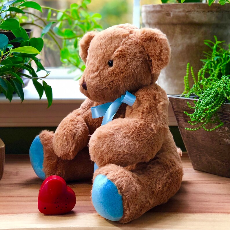 sound recorder for stuffed animal