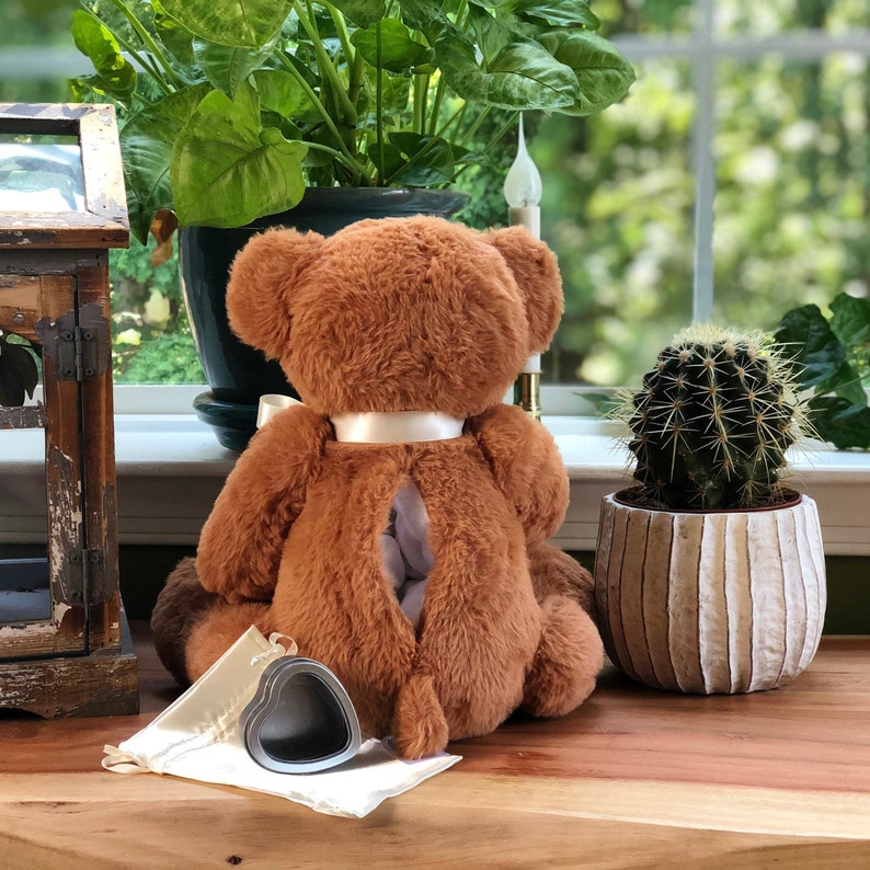 Teddy Bear Urn Urns for Human Ashes Huggable Urn Urn for | Etsy
