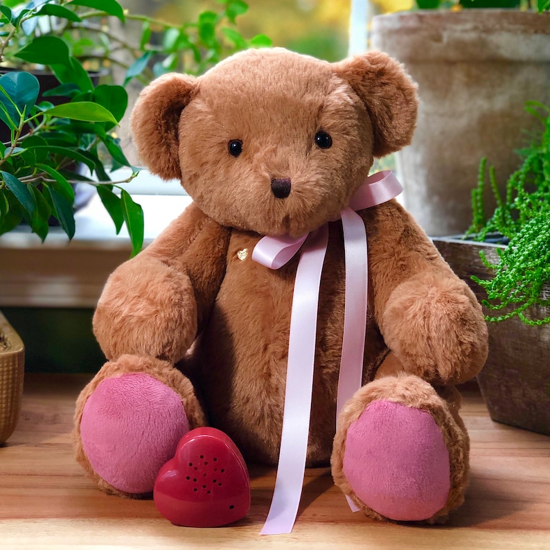 sound recorder for stuffed animal