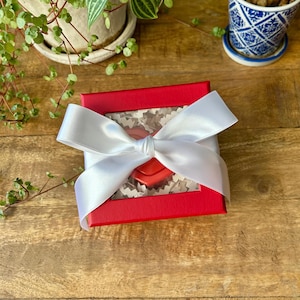 Custom Voice Recording Gift, Memorial Keepsake, Heart-Shaped Recorder in Gift Box with Luxury Ribbon, up to 30 second record time