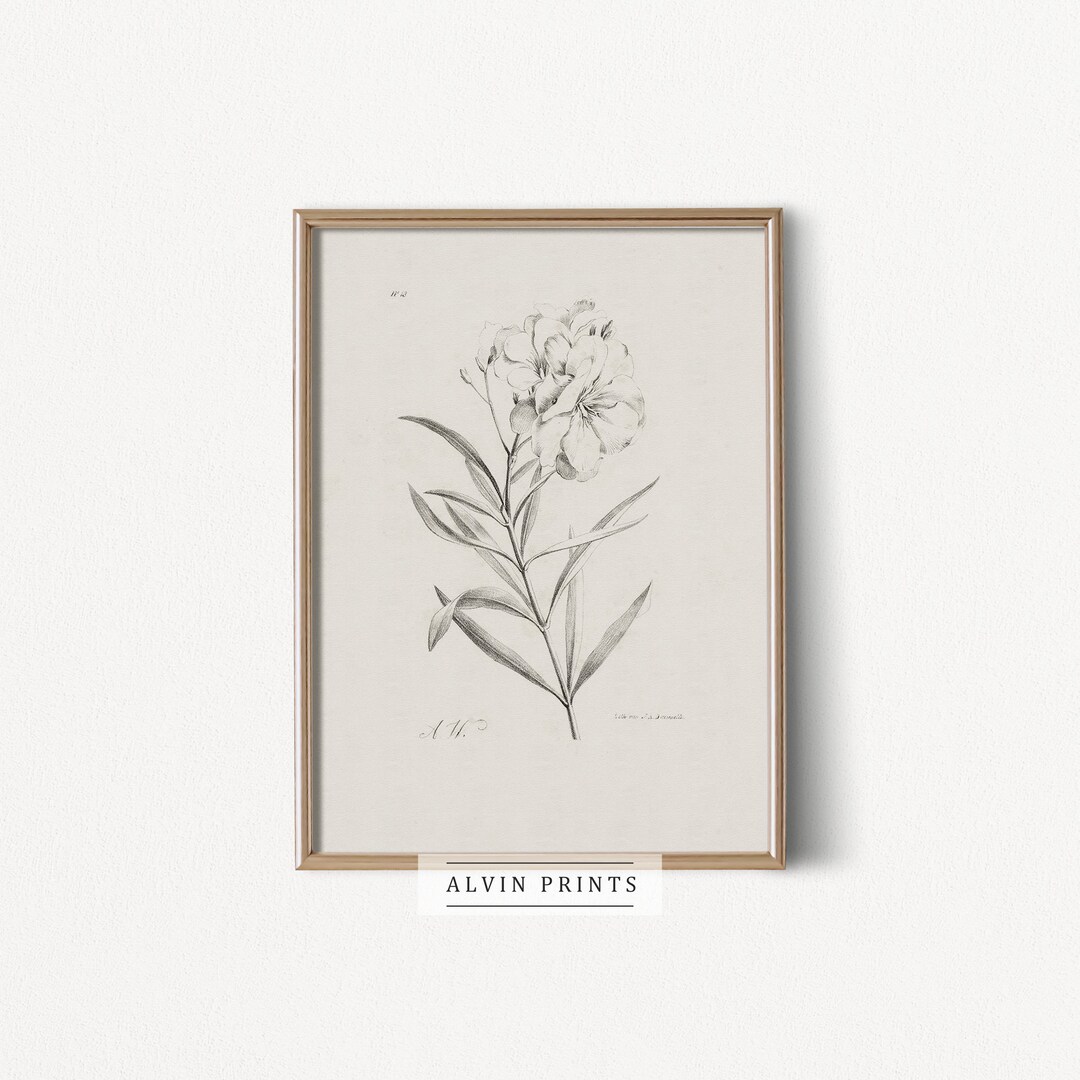 Minimalist Flower Sketch Wall Art Mailed Art Print Vintage Floral