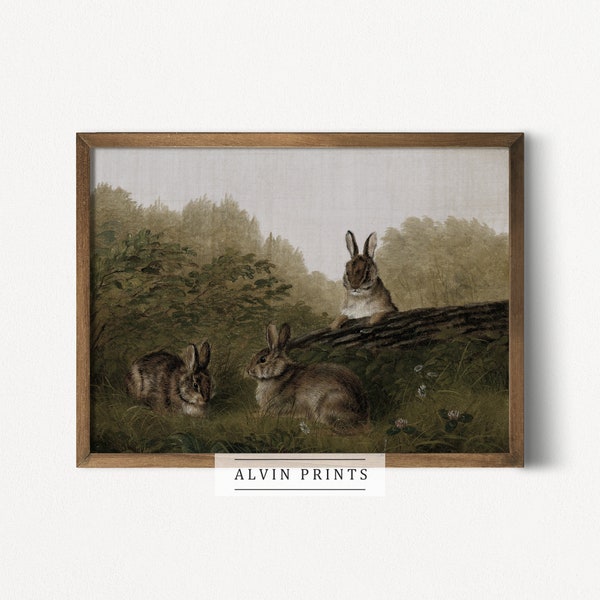 Vintage Rabbit Print Etsy