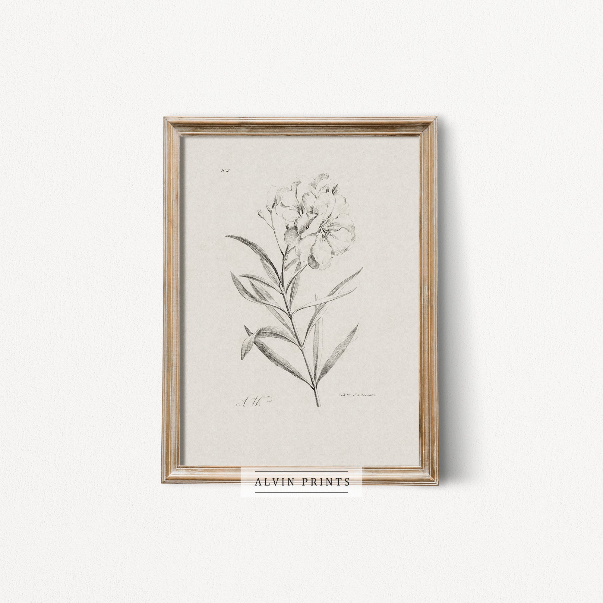 Minimalist Flower Sketch Wall Art Mailed Art Print Vintage Etsy