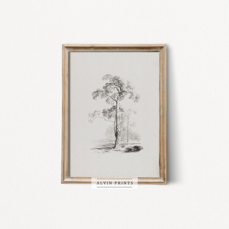 Vintage Tree Drawing Wall Art Mailed Fine Art Minimalist Etsy