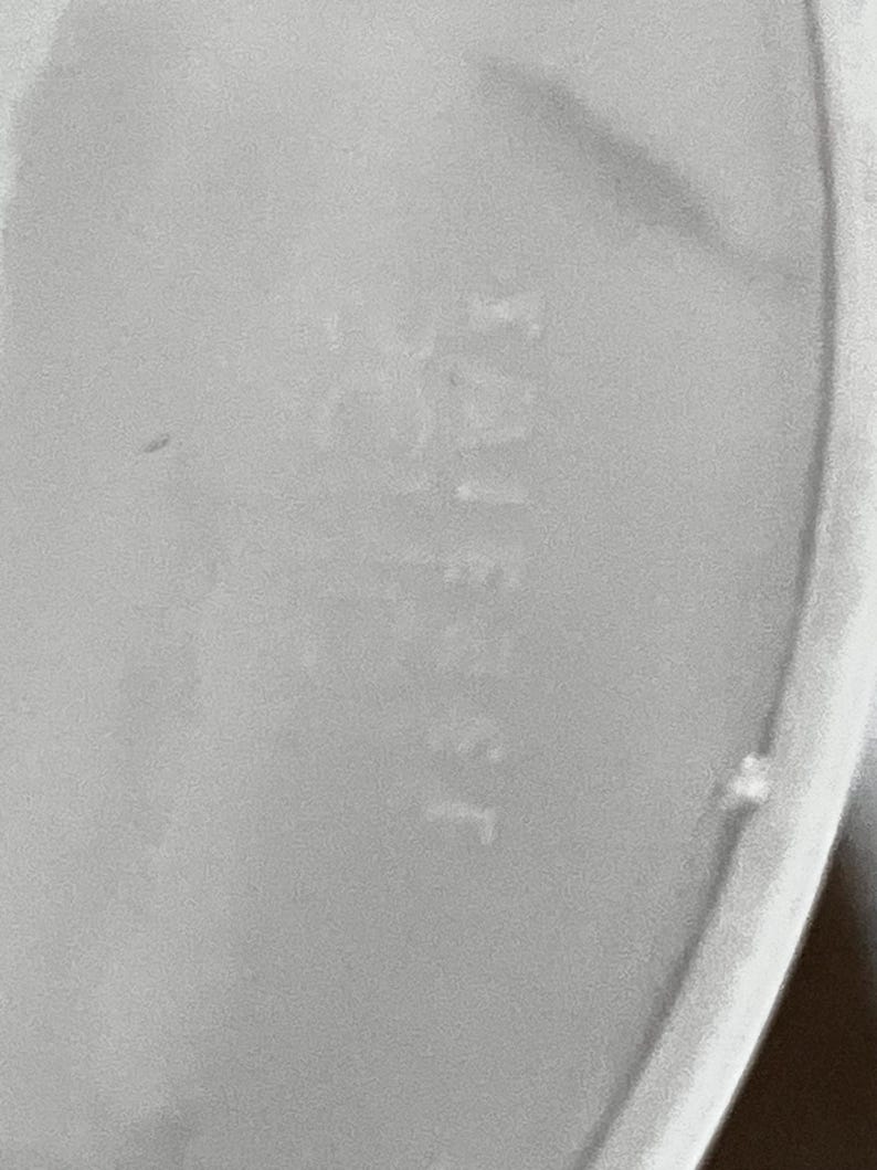 Schott Zwiesel Wine Glasses – Set of 6 – Peachy Grey Iridescent close up of the bottom of the wine glass. etched lightly is the maker name  Schott Zwiesel written backwards as it is likely written on the other side.