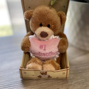 GUND Thinking of You Extra Special Aunt Teddy Bear