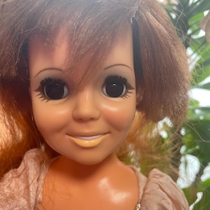 May include: A vintage doll with auburn hair and large, dark eyes. The doll is wearing a pink dress with a silver trim. The doll's face has a gentle expression, with a slight smile and painted lips. The doll is a collectible item.