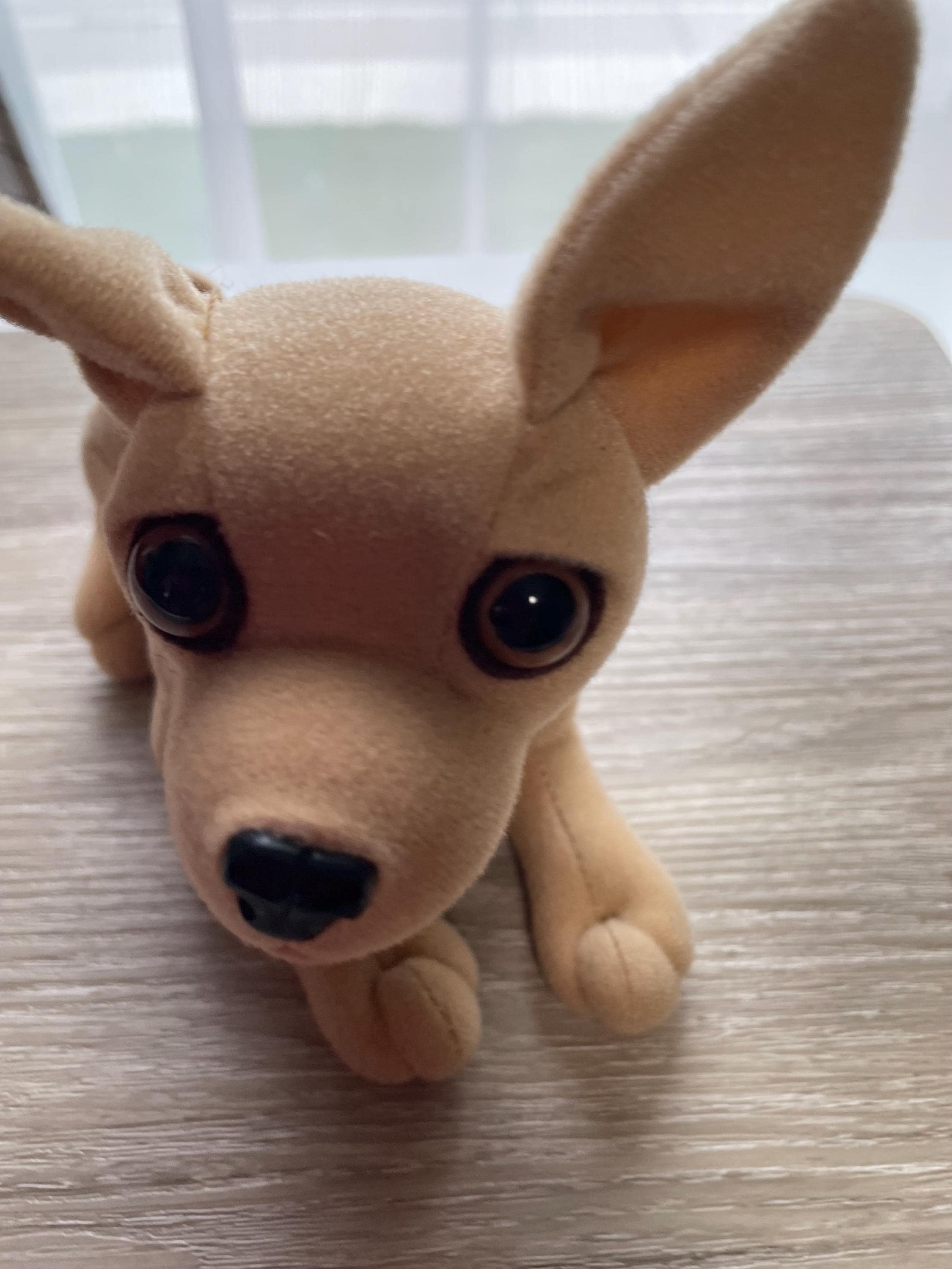 Taco bell plush chihuahua - Etsy 日本