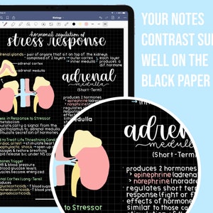 May include: A diagram illustrating the hormonal regulation of the stress response. The diagram shows the adrenal glands, which are located on top of the kidneys. The adrenal glands are composed of two layers: the adrenal cortex and the adrenal medulla. The adrenal medulla produces two hormones: epinephrine and norepinephrine. These hormones are released in response to stress and help the body to cope with stressful situations. The diagram also includes text explaining the process of the stress response and the functions of the adrenal glands.