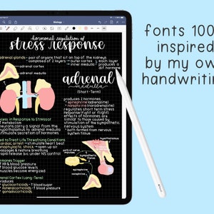 The Ultimate Handwritten Fonts Bundle | 6 Handwriting Font Styles image 2
