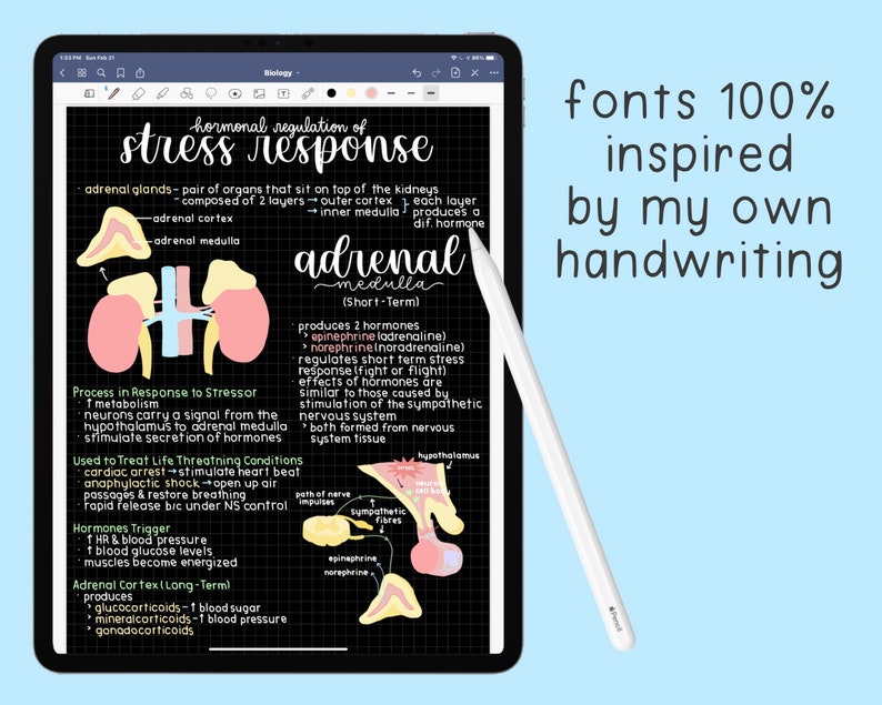 The Ultimate Handwritten Fonts Bundle | 6 Handwriting Font Styles image 2