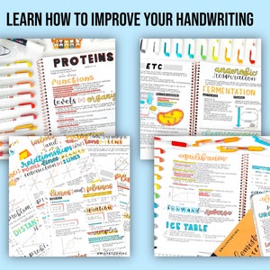 May include: A collection of colorful, handwritten notes on lined paper in a spiral bound notebook. The notes include topics like proteins, functions, levels of organization, etc., anaerobic respiration, fermentation, equilibrium, forward and reverse, ice table, and more. The notes are decorated with colorful highlights and drawings.