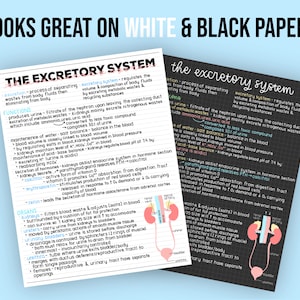 May include: Two handwritten pages with diagrams of the human excretory system. The pages are titled "The Excretory System" and "The Excretory System". The diagrams show the kidneys, ureters, bladder, and urethra. The text describes the functions of the excretory system, including the production of urine, maintenance of water and salt balance, and regulation of blood pressure.