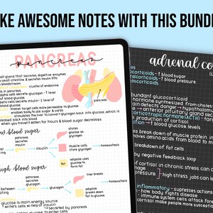May include: Two digital notebooks displaying handwritten notes on the pancreas and adrenal cortex. The notes are in black, pink, and yellow, with diagrams and text. The top of the image reads, "TAKE AWESOME NOTES WITH THIS BUNDLE!"