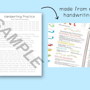 May include: A page from a notebook with handwritten notes about homeostasis, sensory receptors, feedback loops, types of neurons, and motor neurons. The notes are written in colorful ink and include diagrams and illustrations.