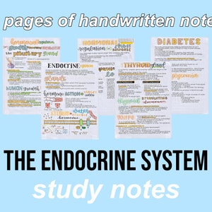 Biology Notes (Endocrine System)