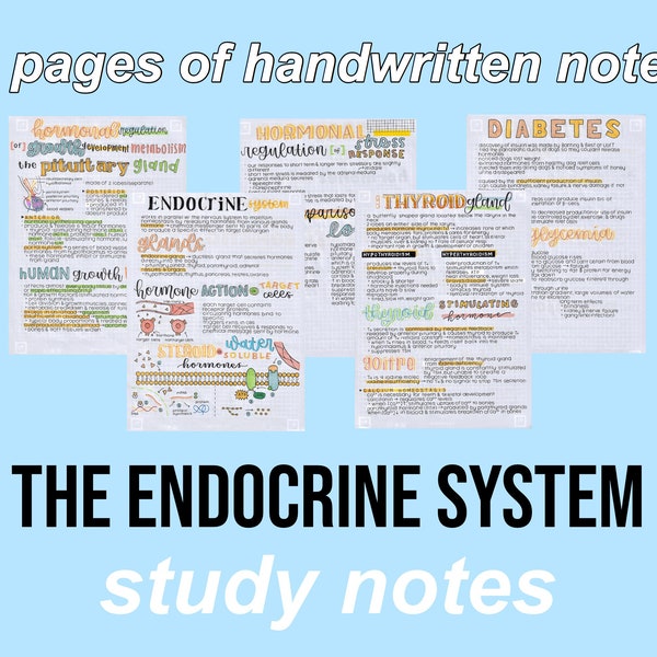 Biology Notes (Endocrine System)
